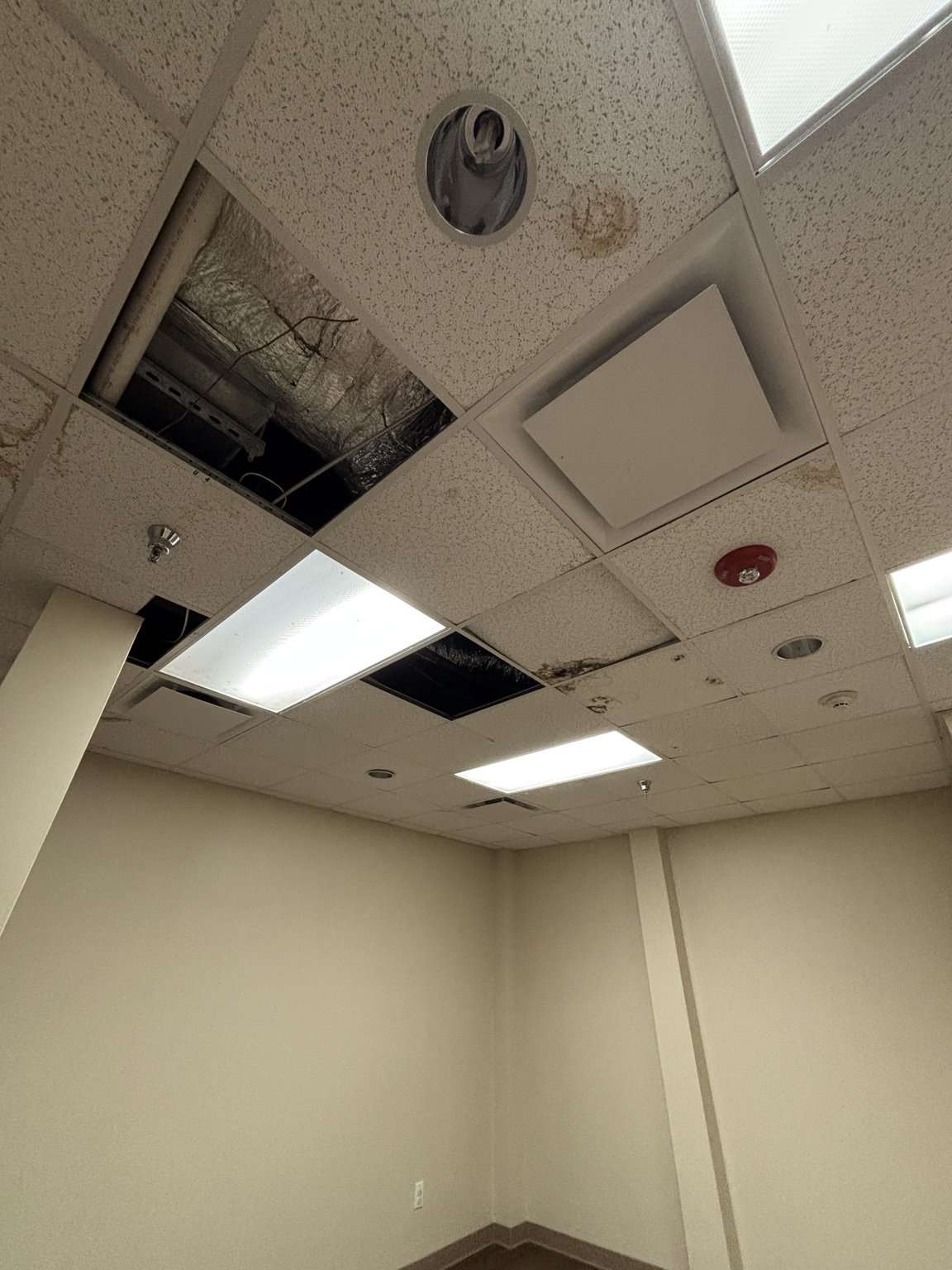 Stained and missing ceiling tiles in the laboratory beside the X-ray room. The water had come and gone more than once.