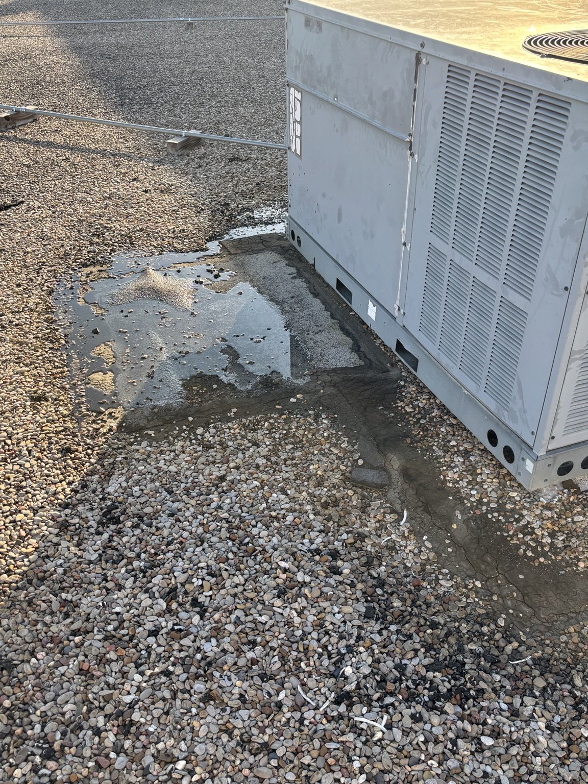 Ponded condensate against the curb of a rooftop unit, directly above the rooms where the ceiling tiles were stained.